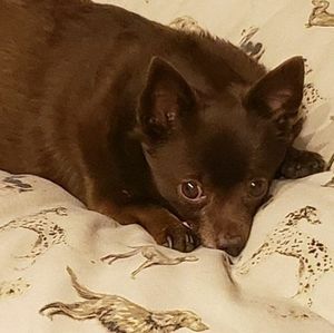 Meet your Posher, Christine